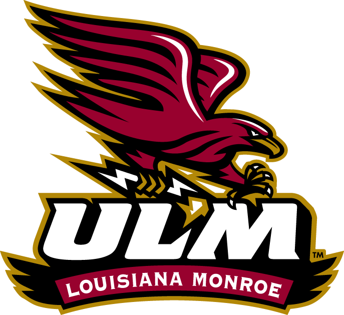 Louisiana-Monroe Warhawks 2006-Pres Alternate Logo v2 iron on transfers for clothing